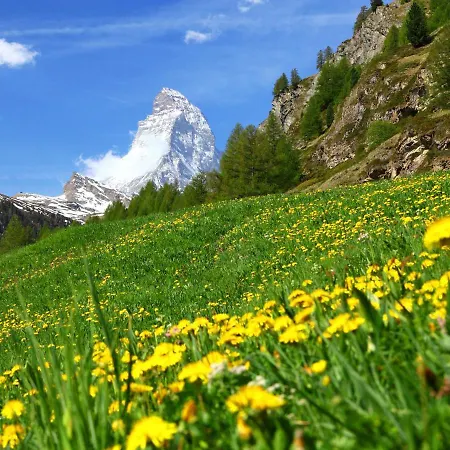 Lejlighed Armina By Interhome Zermatt