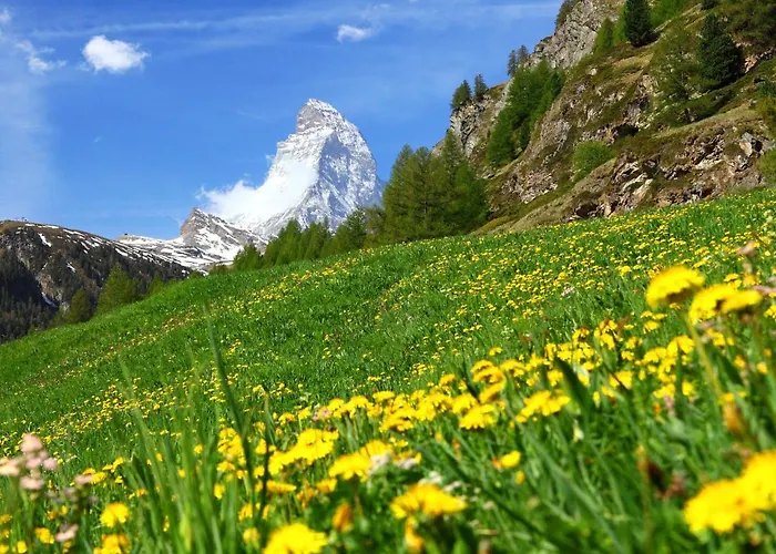 Appartement Armina By Interhome Zermatt